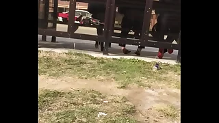 611 feet porn videos